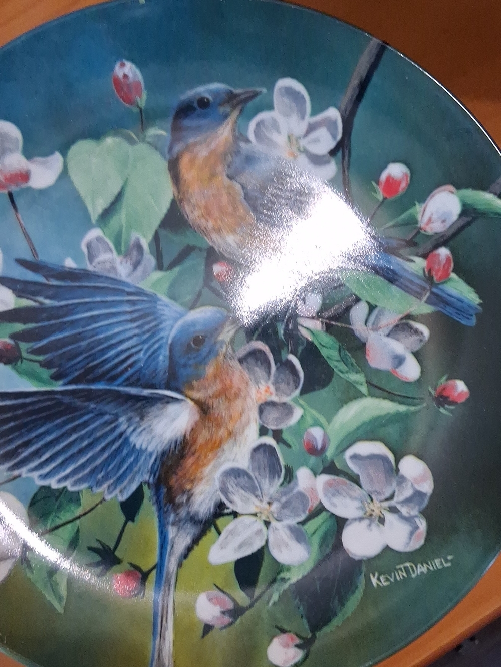 Knowles Blue and Orange Songbird Decorative Plate